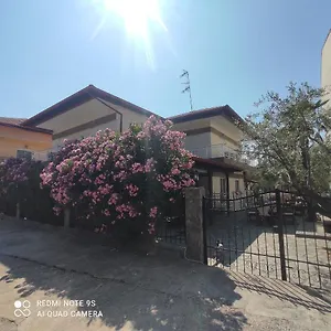 https://nafsika-amoliani.hotelschalkidiki.net