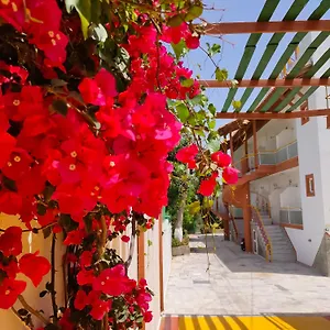 Evli Apartment